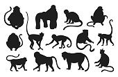Monkeys silhouette. Hanging and jumping black apes. Various types of primates. Exotic animals set. Exotic rainforest fauna. Contour mammals with tails. Vector templates for zoo logo