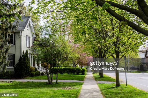 rue du pont à belleville - belleville ontario photos et images de collection