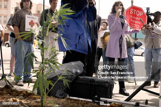 Angel Rakh 37 Angel Raich Photos & High Res Pictures - Getty Images