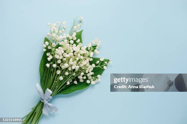 lily-of-the-valley spring white flowers on pastel blue background with copy space. - lily of the valley stock pictures, royalty-free photos & images