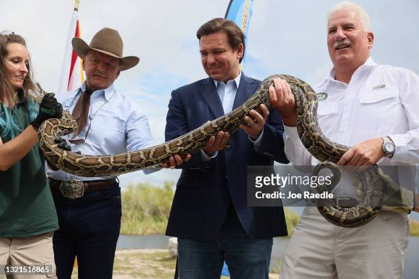Florida Gov. Ron DeSantis helps hold a python as he kicks off the 2021 Python Challenge in the Everglades on June 03, 2021 in Miami, Florida. The...