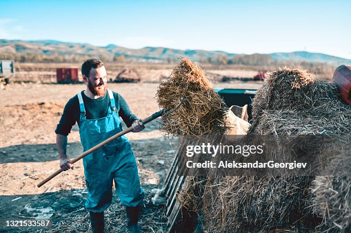 Smiling Bearded Farmer Making New Haystack On Ranch