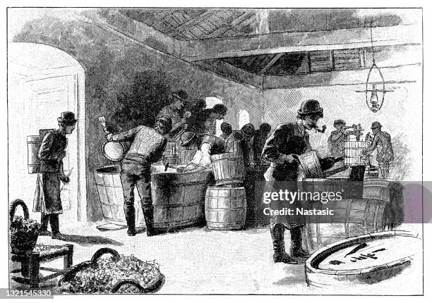 winemaking industry - vineyard worker stock illustrations