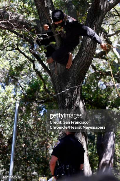 Tree Sitter Example 13 Treesitter Stock Photos, High-Res Pictures, and Images - Getty Images