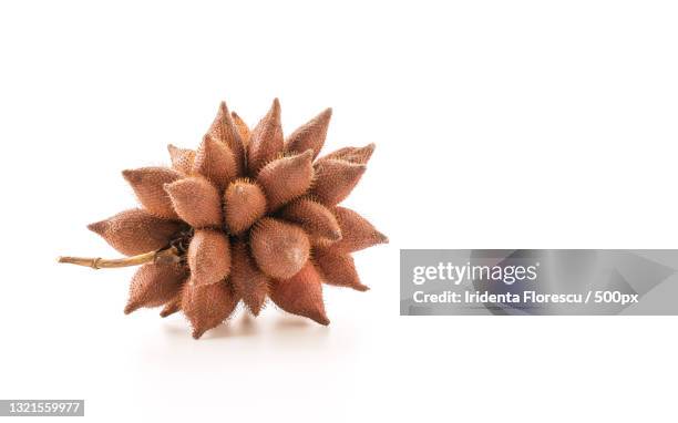 fresh zalacca on white background - snake fruit stock pictures, royalty-free photos & images