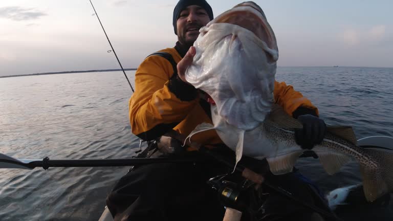 6,236 Catching Fish Stock Videos, Footage, & 4K Video Clips - Getty Images