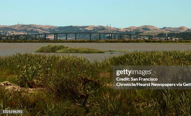 New grasses in front of highway 37during the wetland restoration of Pond 3 between Cullinan Ranch and the Napa River in the Napa Sonoma Marshes in...