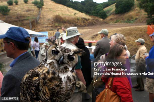Seven year old Olivia at the ground breaking ceremony for the new veterinary hospital at the Oakland Zoo in Oakland, Calif., on Wednesday, July 13,...