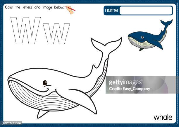 vektor-illustration von kindern alphabet malbuchseite mit umrissenen clipart zu farbe. buchstabe w für wal. - blue whale stock-grafiken, -clipart, -cartoons und -symbole