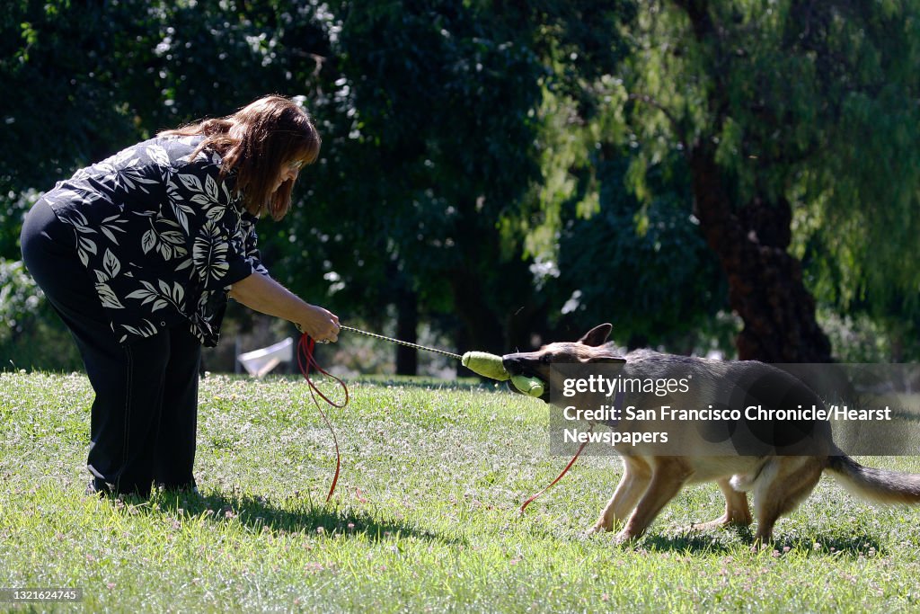 President Joan Cannelli (left) of Golden State German Shepherd Rescue plays with four year old Drake at Cowell Community Park in Concord, Calif., on Monday, June 17, 2013. Joan had trigeminal neuralgia, a form of facial nerve pain, for about 5 years fol