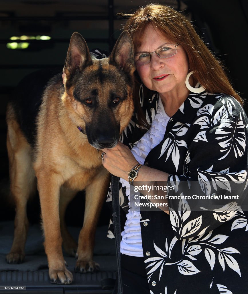 President Joan Cannelli of Golden State German Shepherd Rescue with four year old german shepherd Drake in Concord, Calif., on Monday, June 17, 2013. Joan had trigeminal neuralgia, a form of facial nerve pain, for about 5 years following a root canal un
