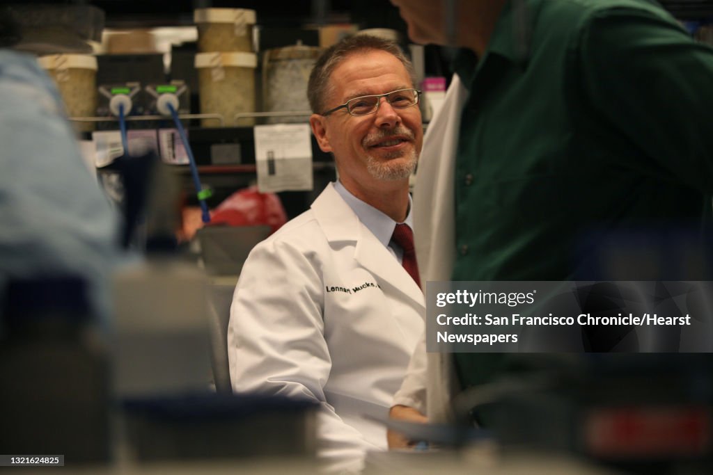 Alzheimer's expert Dr. Lennart Mucke shows Huang Lab at Gladstone in San Francisco, California, on Monday, November 18, 2013. He's been studying a protein called beta amyloid, the primary target of Alzheimer's research.