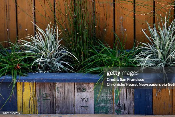 The colored wood of the planters at Mission Rock Resort in San Francisco, Calif., are recycled from the 1923 bleachers at Cal's Memorial Stadium in...