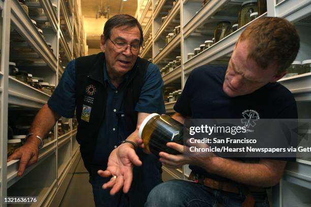 Curator and chair of herpetology Bob Drewes and Dr. Matt Lewin look at a forest cobra in the herpetology collections room at the California Academy...