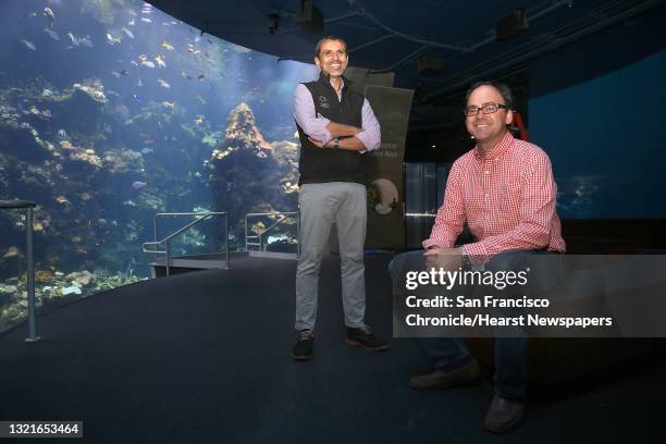 Luiz Rocha 93 Luiz A Rocha Stock Photos, High-Res Pictures, and Images - Getty Images