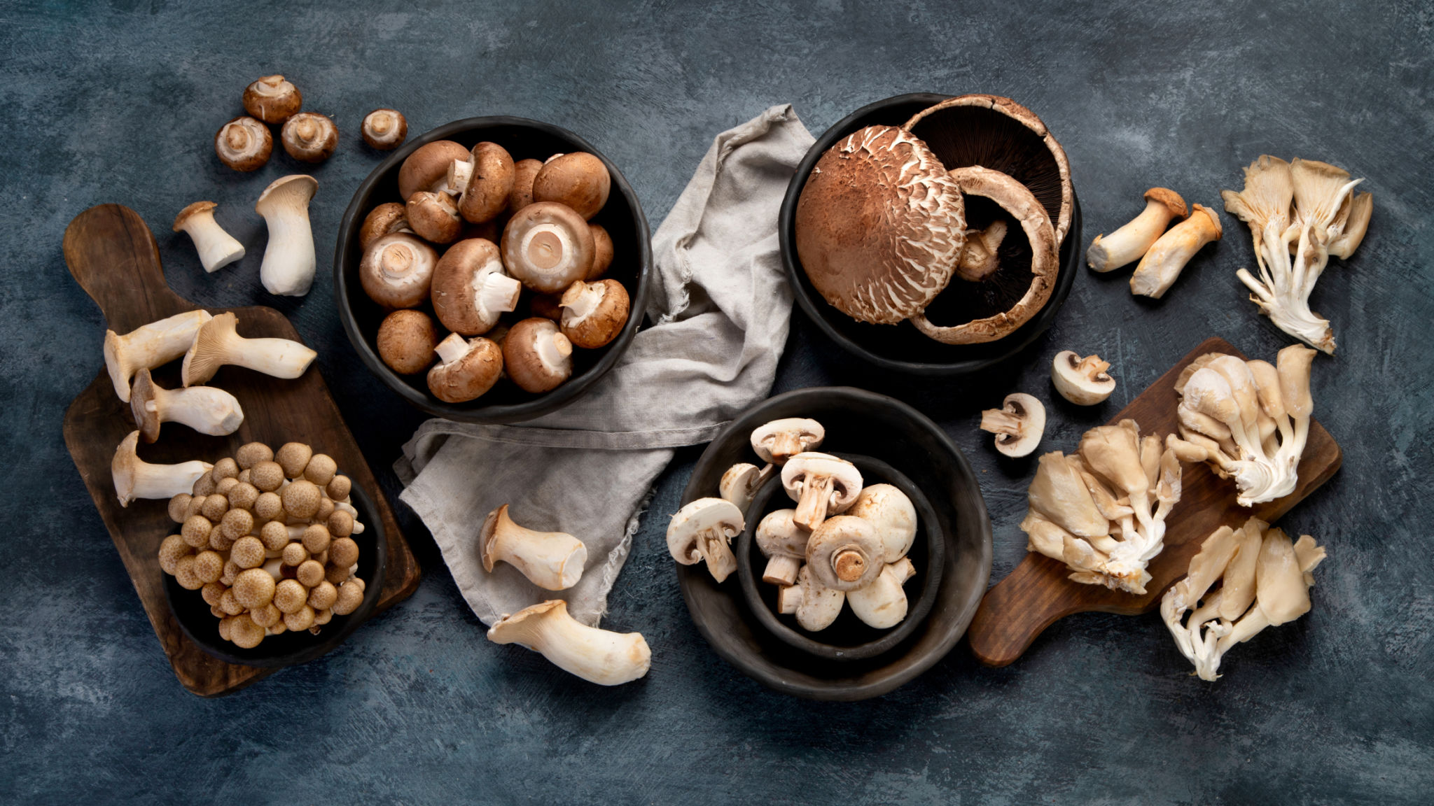 mushroom varieties