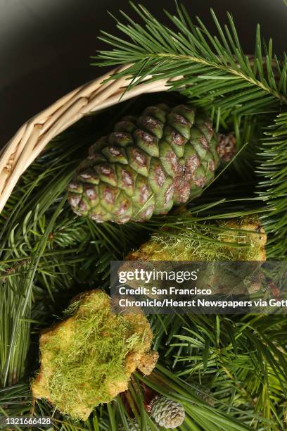 Buttermilk fried chicken with pine salt by Isaac McHale from the Clove Club in London is part of the menu at In Situ restaurant at SFMOMA on Monday,...