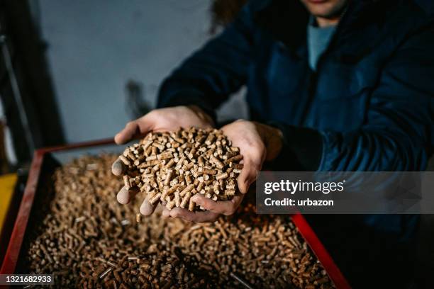 houtpellets in handen - houtstapel stockfoto's en -beelden