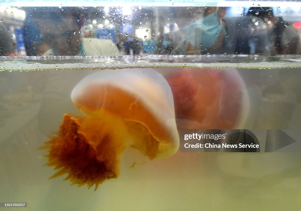 2021 China (Fuzhou) International Seafood & Fisheries Expo