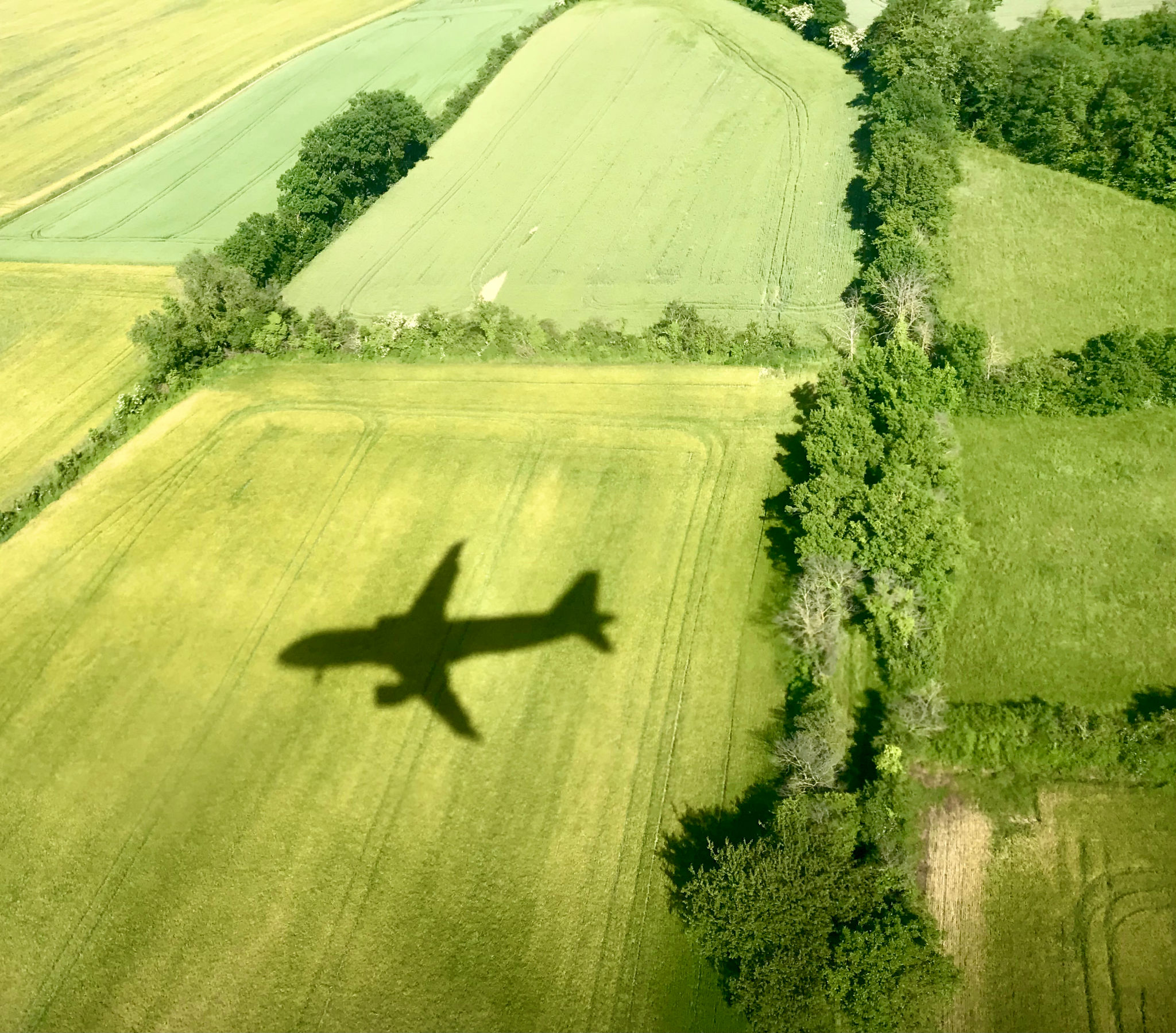 green airport