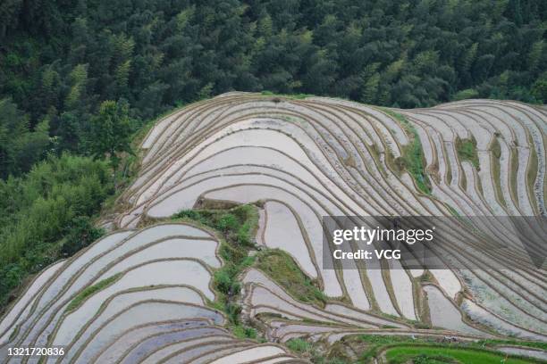 Longsheng Rice Terraces Photos and Premium High Res Pictures - Getty Images