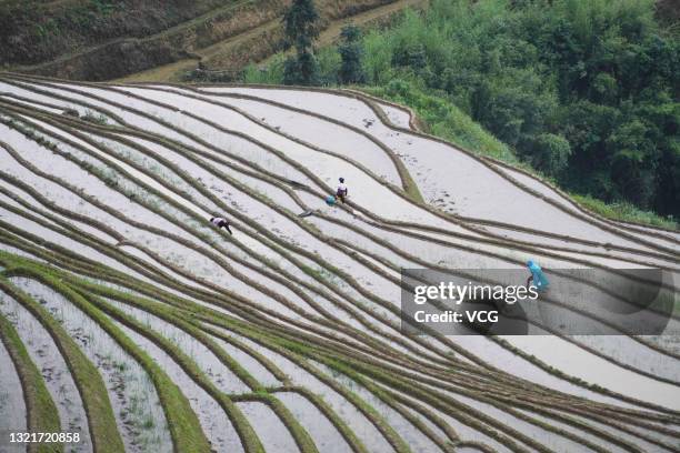 Longsheng Rice Terraces Photos and Premium High Res Pictures - Getty Images