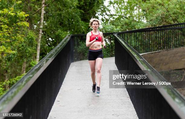 young woman running on footbridge in forest,belgium - positivism stockfoto's en -beelden