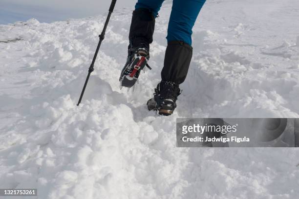 trekker climbing snow-capped mountain with crampons and hiking pole in tatra mountains, poland. - tatra stock-fotos und bilder
