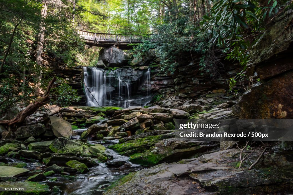 Scenic view of waterfall in forest