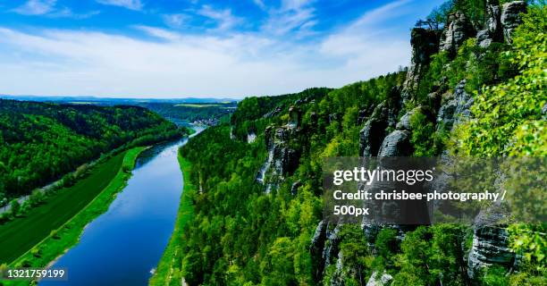 scenic view of river amidst trees against sky,dresda,germany - dresda stockfoto's en -beelden