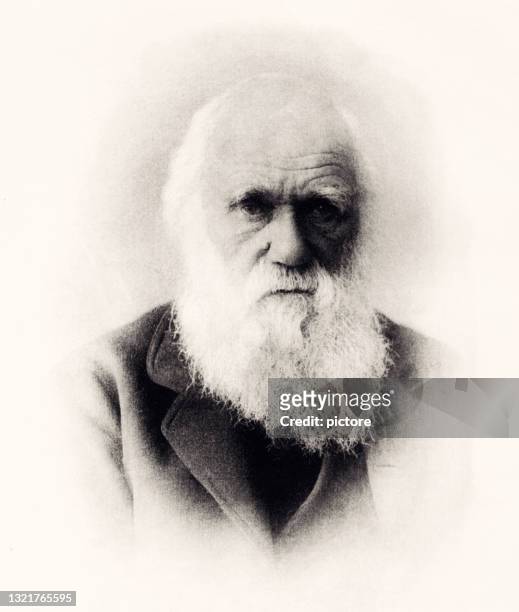 stockillustraties, clipart, cartoons en iconen met 1871 : charles darwin -xxxl met veel details- - alleen één seniore man