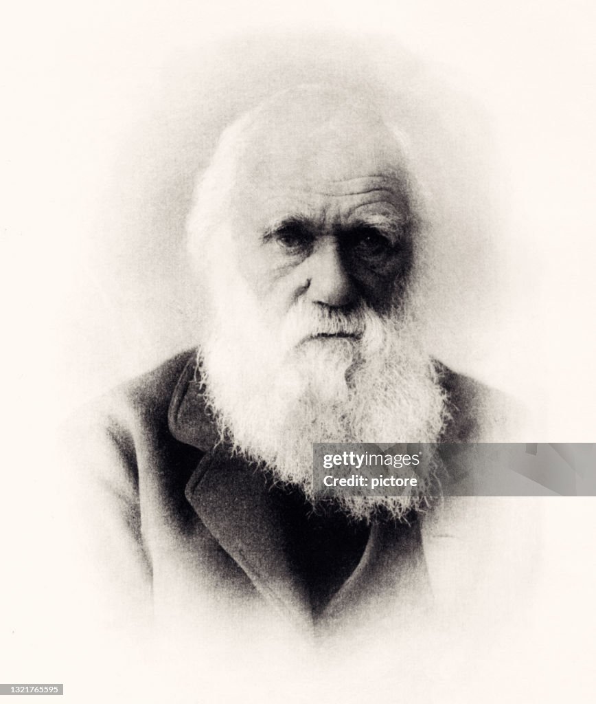 1871 : CHARLES DARWIN      -XXXL with lots of details-