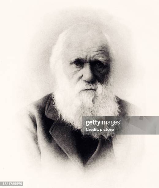 1871 : charles darwin      -xxxl with lots of details- - charles darwin naturalist stock illustrations