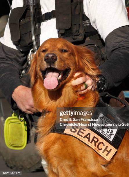 Rich Cassens, owner and trainer of "Groot" the hero rescue dog during a training exercise in Cool, Ca., on Monday Feb 25, 2020. "Groot" and Rich...