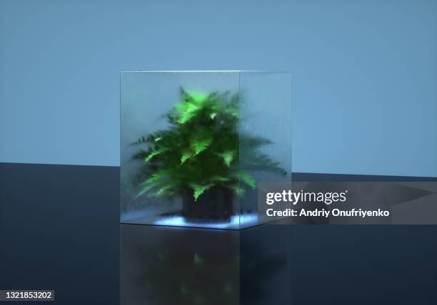 ecosystem - glass box stock pictures, royalty-free photos & images