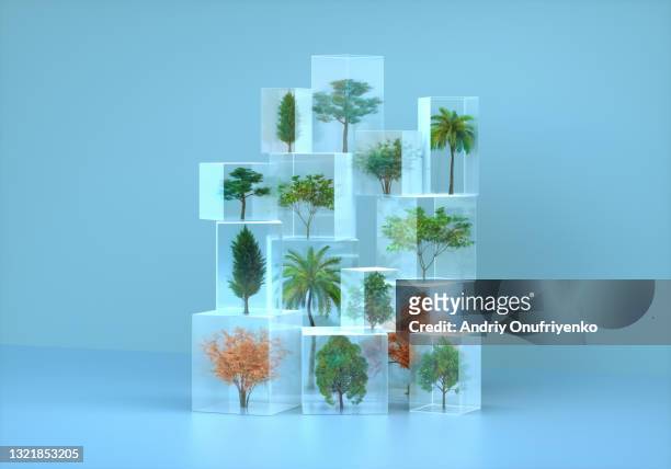 ecosystem - transparent box stock pictures, royalty-free photos & images