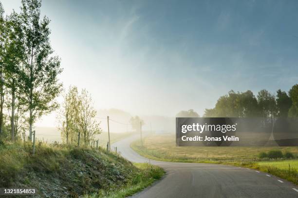 small road through swedish landscape - 2021 road stock pictures, royalty-free photos & images