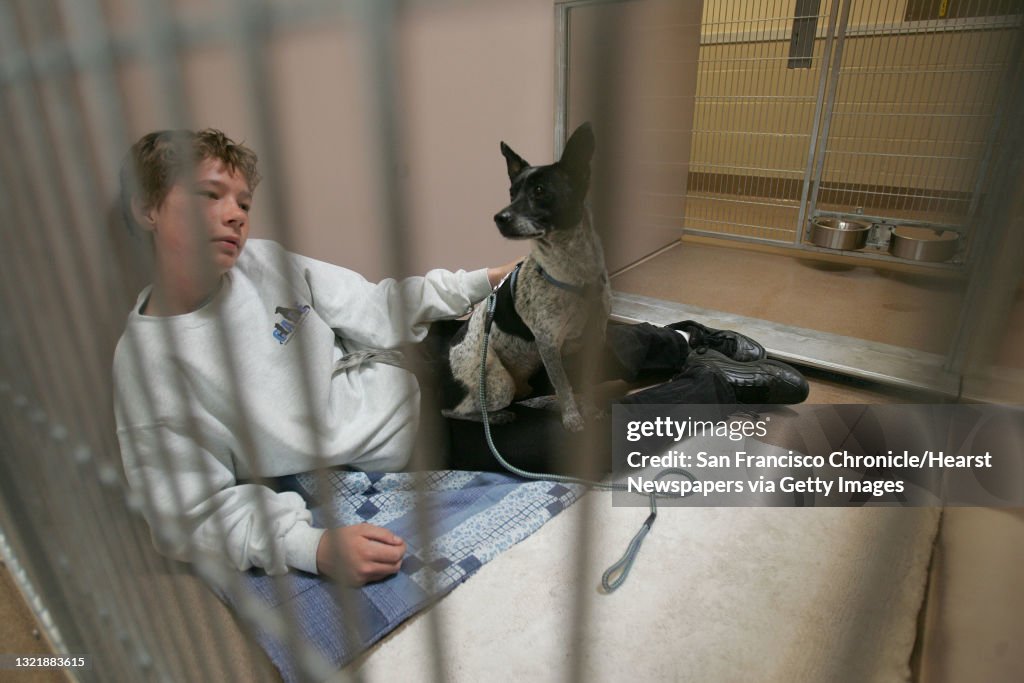  14 year old Jason Medlock, of San Jose, a shelter...  News Photo - Getty Images