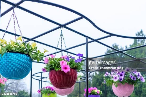 hanging flower basket - flower basket stock pictures, royalty-free photos & images