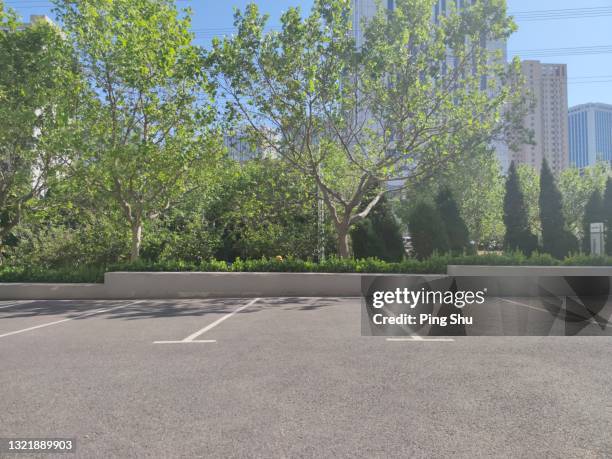 trees and parking spaces - empty carpark stock pictures, royalty-free photos & images