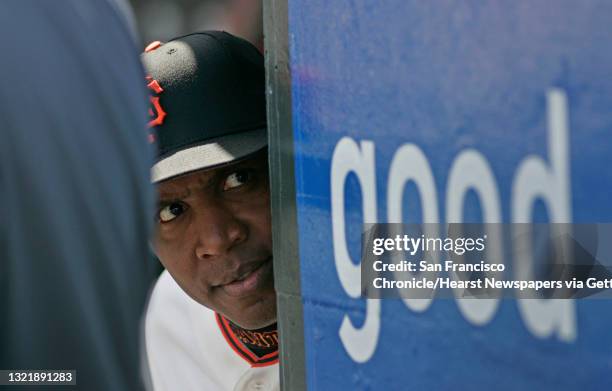 Giants_311_mac.jpg Giants Barry Bonds although not in the starting lineup today hangs out in the dugout about mid-game before his pinch hit homer in...