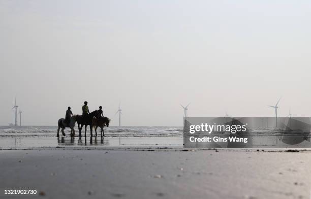 silhouette of people riding horse on the beach. - cowboy sleeping stock pictures, royalty-free photos & images