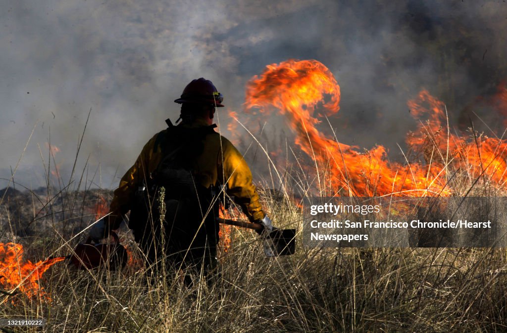 Firefighter Brian Kruger, ignites the deer grasses at the burn site, as they duplicate the Native American tradition at Pinnacles National Monument in Paicines, Ca., on Thursday December 8, 2011. Fire departments from the National Parks Service, Bureau of