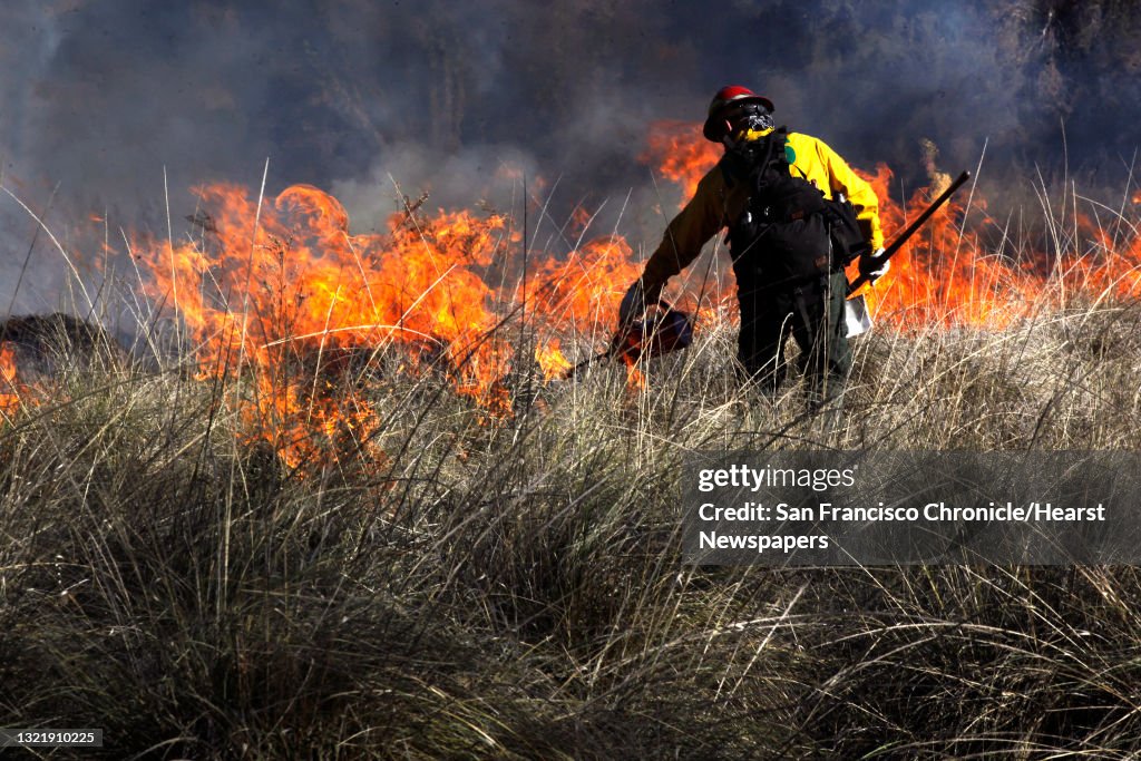 Firefighter Brian Kruger, ignites the deer grasses at the burn site, as they duplicate the Native American tradition at Pinnacles National Monument in Paicines, Ca., on Thursday December 8, 2011. Fire departments from the National Parks Service, Bureau of