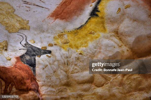 auroch peint sur la paroi de la grotte de lascaux - lascaux cave ストックフォトと画像