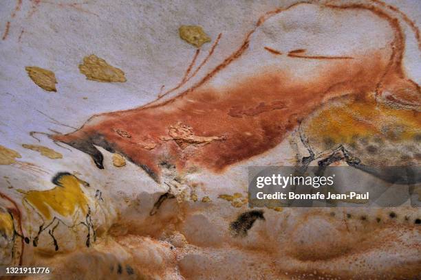 plusieurs chevaux de la grotte de lascaux - lascaux cave stock pictures, royalty-free photos & images