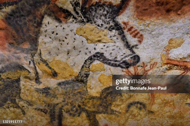 tête d'un boeuf et rennes peint à lascaux - prehistoric man fotografías e imágenes de stock