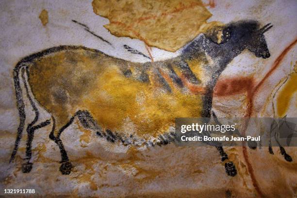 cheval peint de la grotte de lascaux - lascaux cave ストックフォトと画像