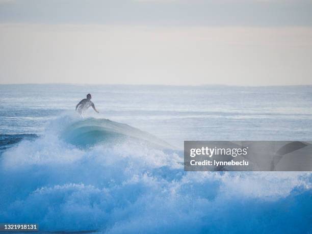 sunrise surfing - brunswick heads, nsw - brunswick heads nsw stock pictures, royalty-free photos & images