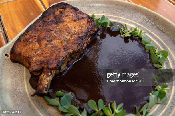 pork chop/cutlet with mole negro sauce and verdolaga/purslane leaves - mole sauce fotografías e imágenes de stock